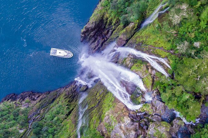 Cruise Milford Small Group Day Tour From Queenstown - Expert Guides