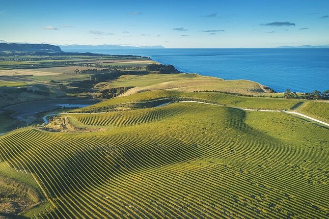 CRUISE SHIP DAY Hop on Hop off Yealands & Marlborough Tour - Accessibility and Participation