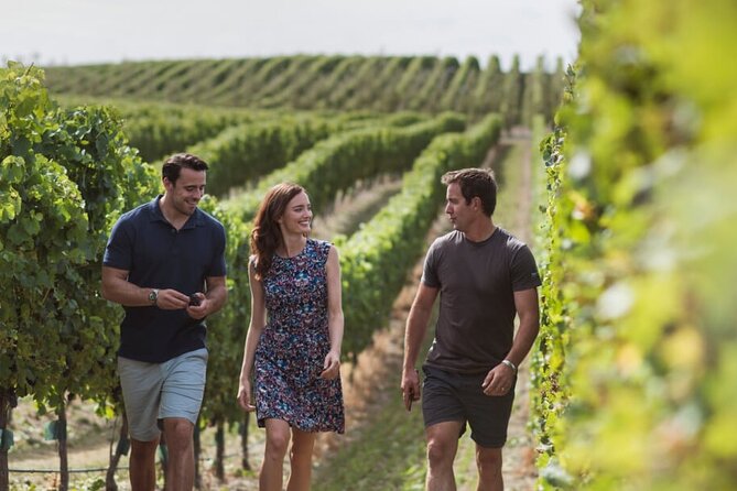 CRUISE SHIP DAY Marlborough Hop On Hop Off Tours - Recommendations and Suggestions