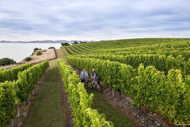 CRUISE SHIP DAY Marlborough Hop On Hop Off Tours - Planning