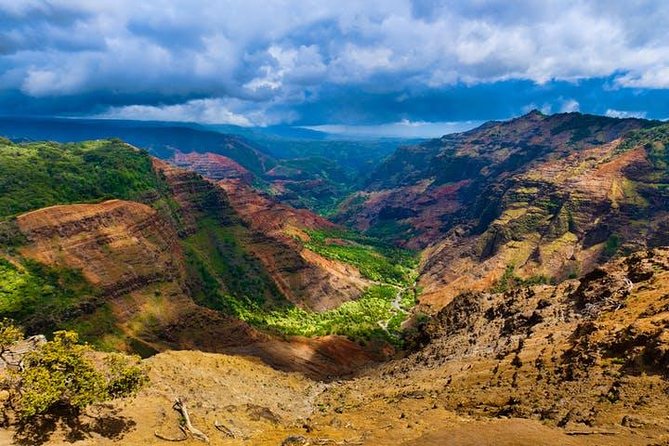 Cruise Ship Excursion: Kauai – Wailua River Cruise & Fern Grotto - Fern Grotto Cave Tour
