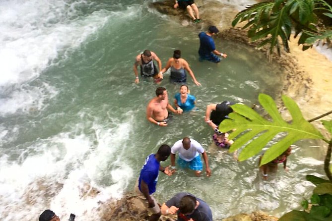 Cruise Ship Excursion To Dunns River Falls - Discovering the Natural Surroundings