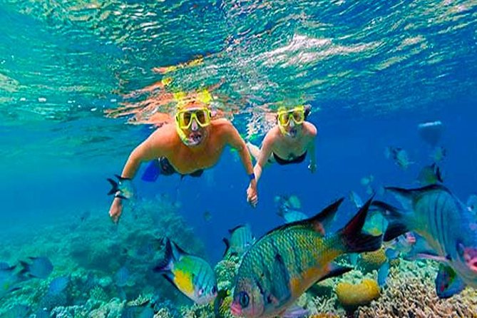 Cruise Ship Multiple Snorkeling, Snacks, Music & Private Vehicle - Snorkeling Opportunities