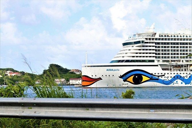 Cruise Ship - On Island for a Day Excursion - Scenic Highlights of the Tour