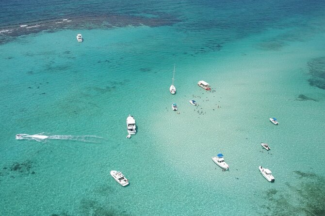 Cruise Ship Shore Tour - Stingray City, Reef Snorkel and Starfish - Snorkeling and Stingray City