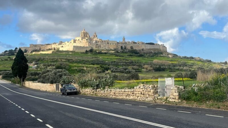 Cruise Ships Malta 5hours Customised Excursions - Customer Reviews and Feedback