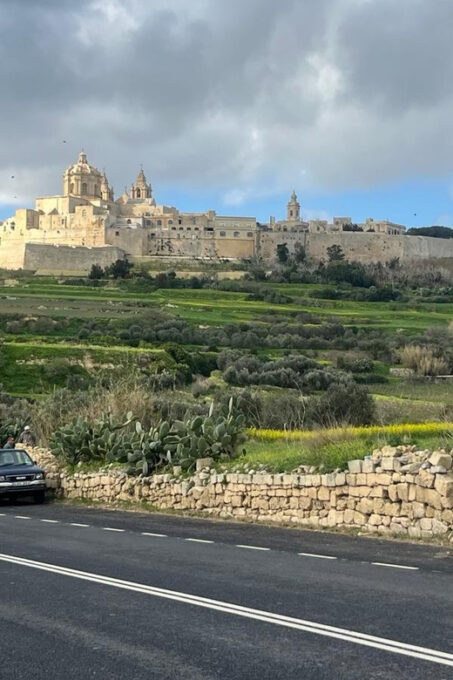 Cruise Ships Malta 5hours Customised Excursions - Frequently Asked Questions