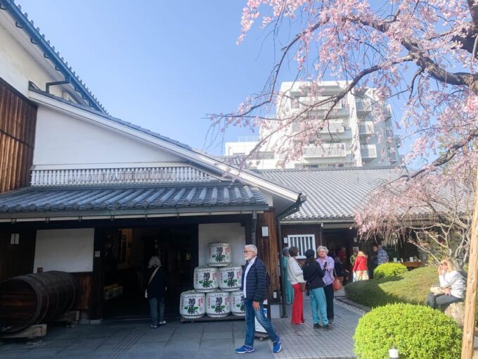 Cruise Shore Excursion: Kobe Sake Tasting With Local Guide - Visiting Meriken Park
