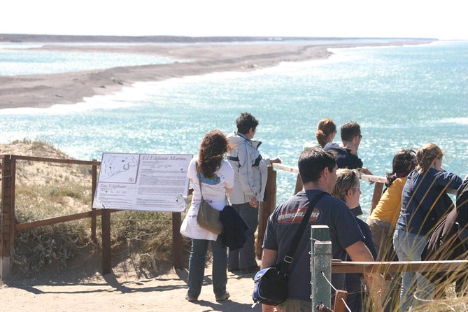 Cruise Shore Excursion Peninsula Valdes - Pto Madryn - Patagonia - Argentina - Varied Experiences