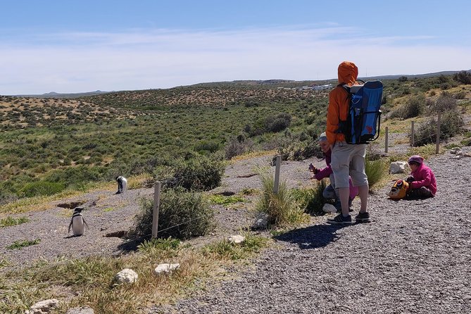 Cruise Shore Excursion Punta Tombo - Tickets Included - Puerto Madryn Patagonia - Inclusions and Amenities