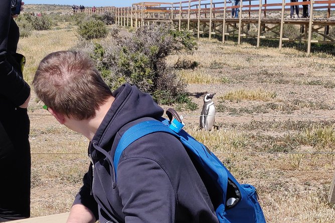 Cruise Shore Excursion Punta Tombo - Tickets Included - Puerto Madryn Patagonia - Reviews and Experiences