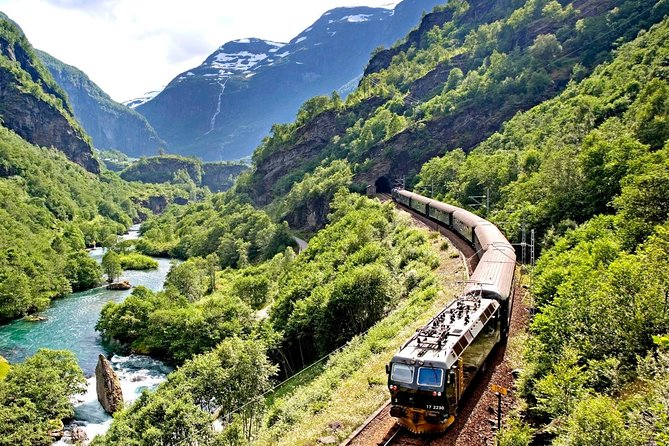 Cruise Special: Private Trip To Canyons And Waterfalls With Flåm Railway - Accessibility and Participation