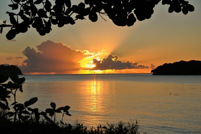 Cruise Sunset Party in Castries - Who Will Love This Tour