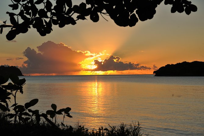 Cruise Sunset Party in Castries - Customer Feedback and Reviews