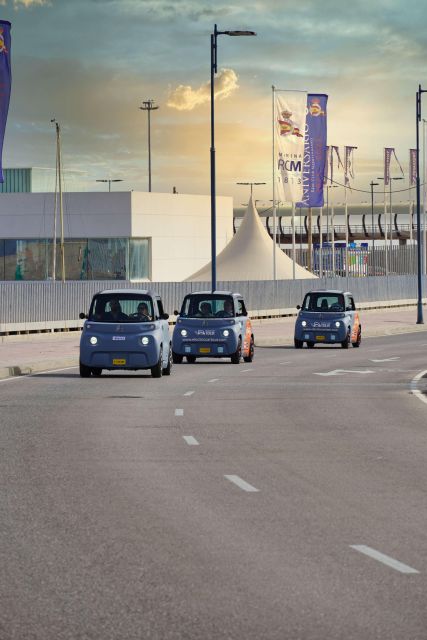 Cruise Terminal Pickup. Malaga in 2 Hours by Electric Car - Inclusions and Amenities