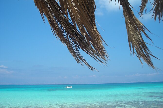 Cruise to Chrissi Island With Lunch Included - Included in the Tour