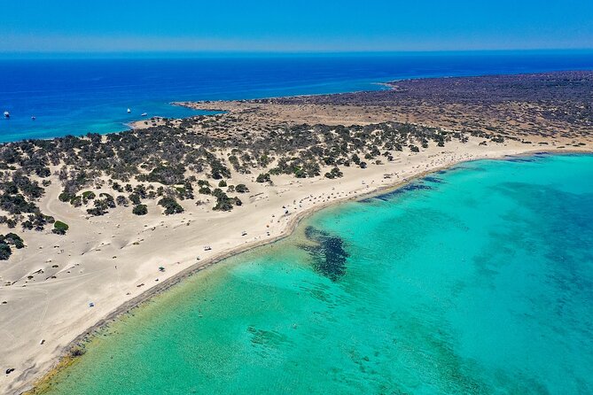 Cruise to Chrissi Island With Lunch Included - Pickup and Confirmation