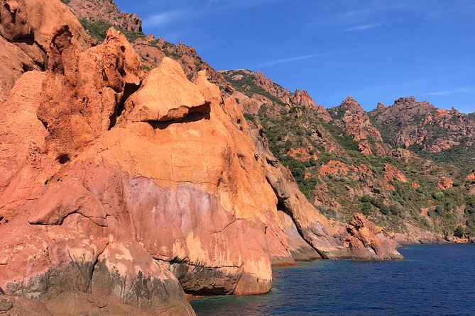 Cruise to Scandola Calanques De Piana 12-Seater Boat - Cancellation and Refund Policy