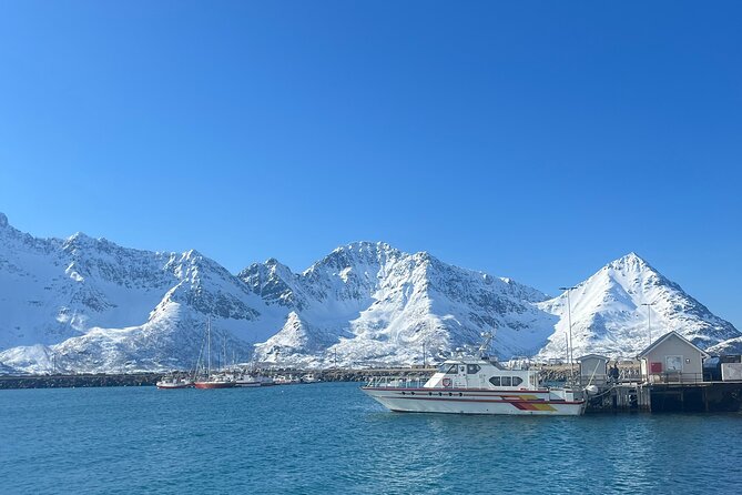 Cruise to the Fishing Village Øksfjord Including Lunch - Meeting Point and Return