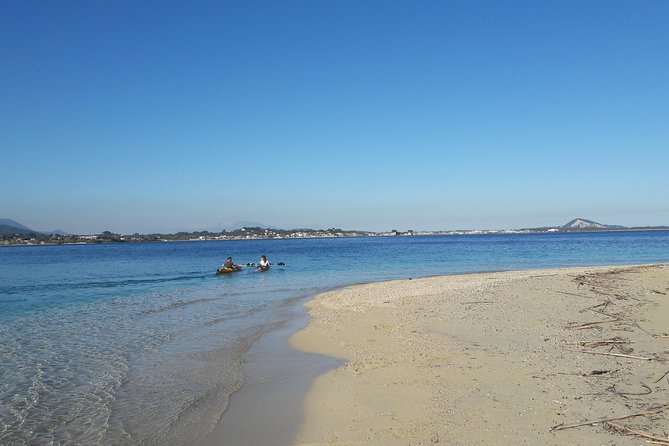 Cruise to Turtles Island and Caves With a Glass Bottom Boat - Turtle Sighting Opportunities