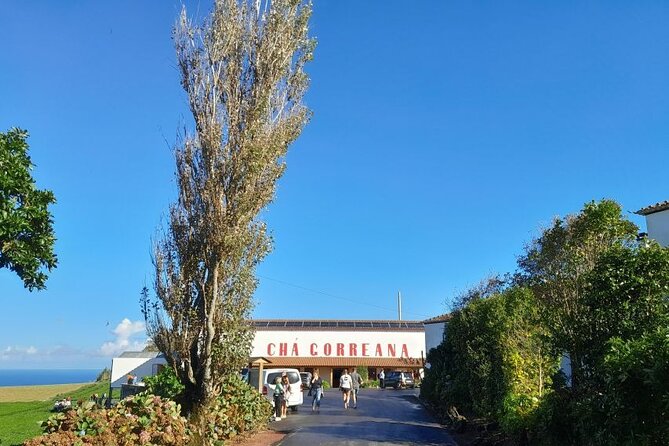 Cruise Travelers: São Miguel Top Iconic Volcanoes 5-6 Hours Tour - Comprehensive Overview of São Miguel