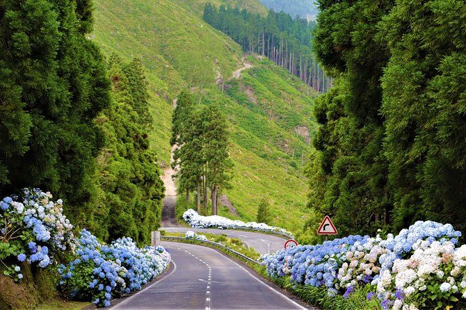 Cruise Travellers: Sete Cidades Volcano, The Blue & Green Lake - Pineapple Plantation Visit