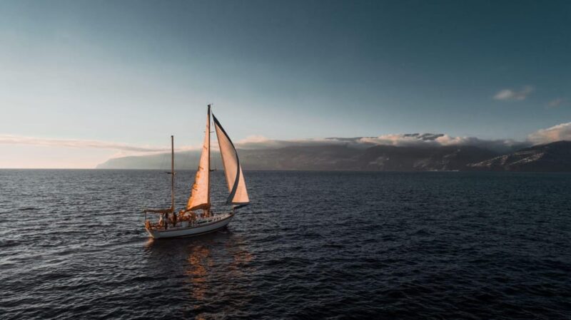 Cruise Trips - Onboard Amenities