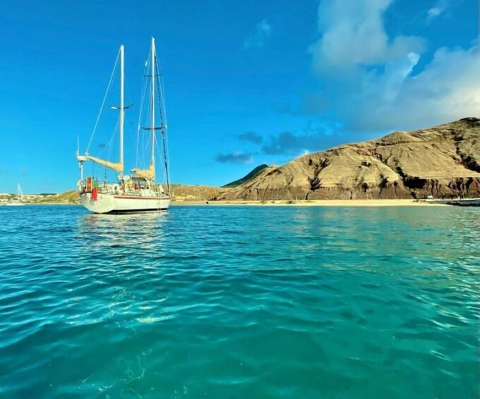 Cruise Trips - Recap