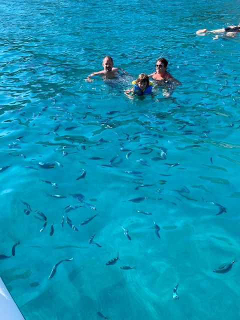 Cruise Visit to the Calanques of Piana Swimming in a Speedboat - Highlights Along the Itinerary
