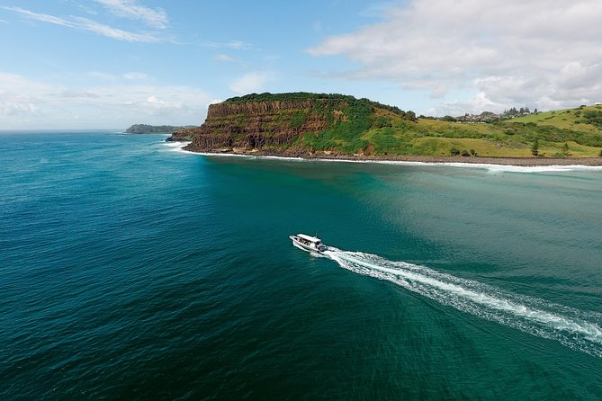 Cruise With Dolphins in Byron Bay - Dolphin Guarantee and Transportation