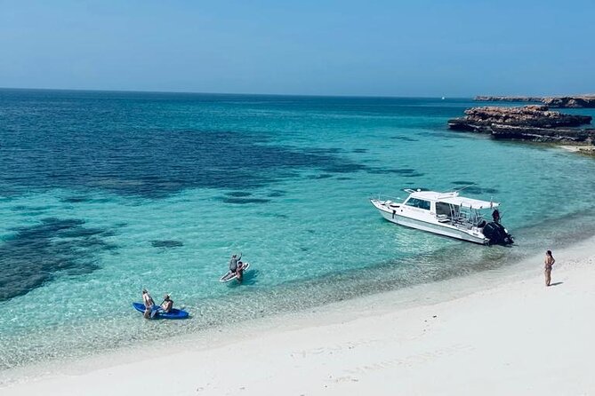 Cruises to Daymaniyat & Snorkeling - Snorkeling Experiences and Marine Life