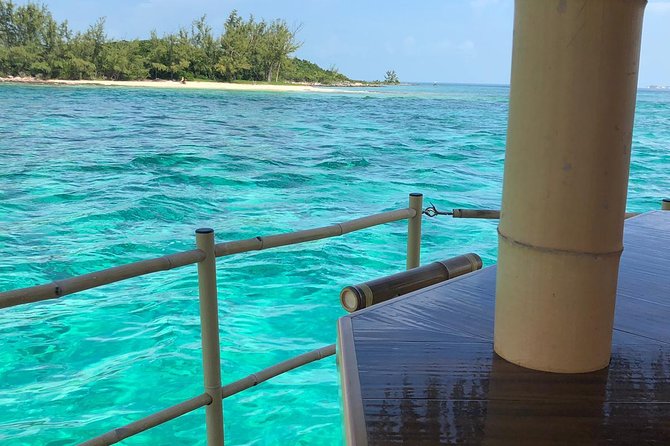 Cruisin Tiki Swimmin Pigs Booze Crooze Lunch+All U Can Drink Bar - Included Activities and Features
