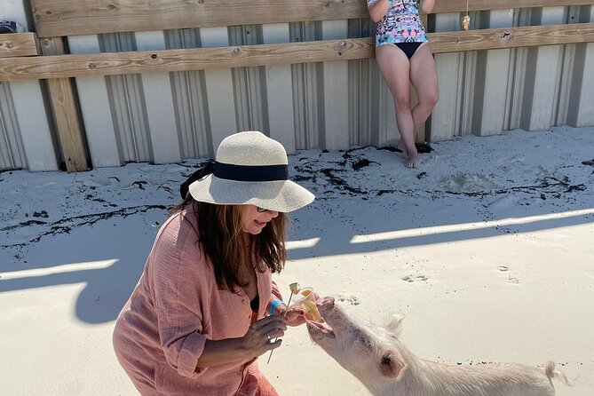 Cruisin Tiki Swimmin Pigs Booze Crooze Lunch+All U Can Drink Bar - Meeting Point and Pickup Details
