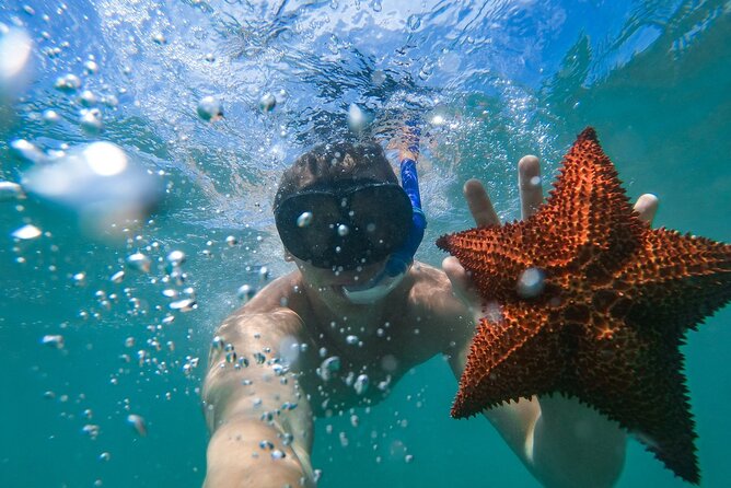 Cruising and Snorkeling Catamaran Private Tour in Punta Cana - Booking Your Stay
