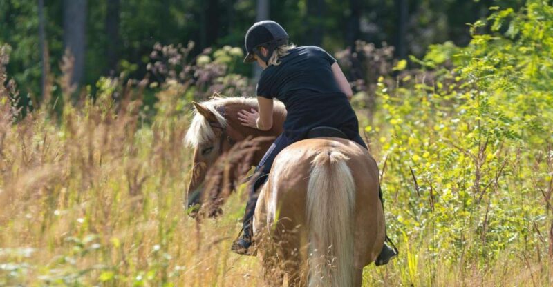 Cruseilles: Horseback Riding in the Countryside - Meeting Point
