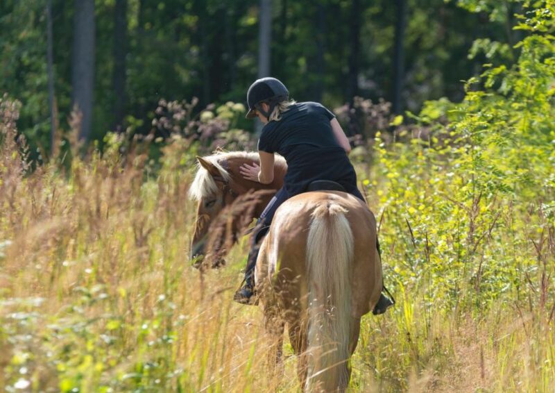 Cruseilles: Horseback Riding in the Countryside - Restrictions