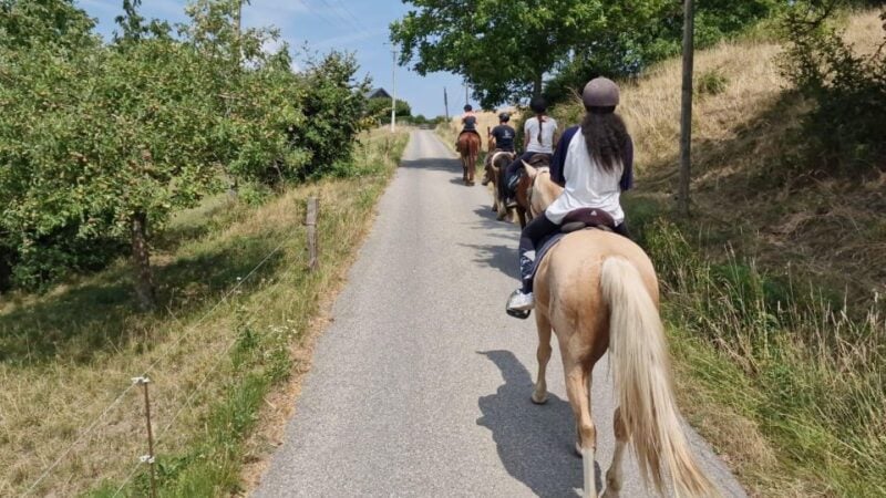 Cruseilles: Horseback Riding in the Countryside - Taking in Nature