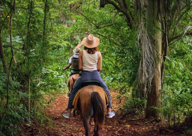Cruseilles: Horseback Riding in the Countryside - Suitable for All Levels