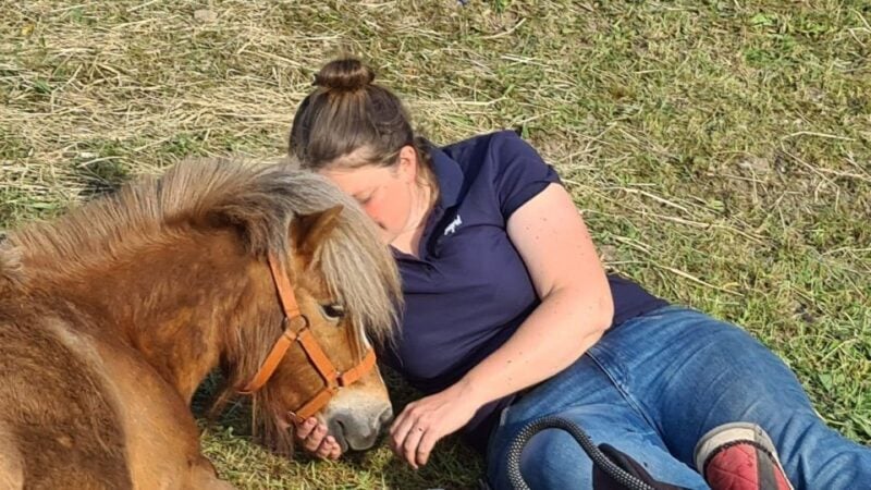 Cruseilles: Horseback Riding in the Countryside - Meeting Point and Parking