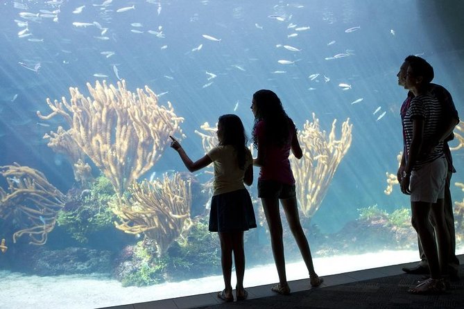 Crystal Caves, Aquarium, City of Hamilton and Ferry - Meeting and Pickup Information