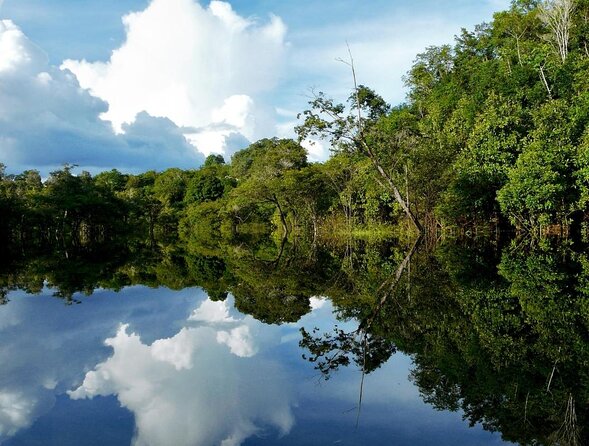 Crystal Clear Adventure: Floating Through the Sucuri River - Key Points