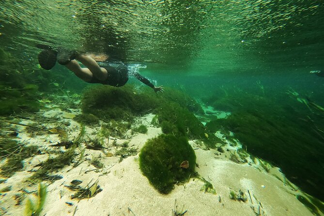 Crystal Clear Adventure: Floating Through the Sucuri River - Gearing Up for Adventure