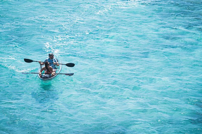 Crystal Kayak - Reviews and Ratings