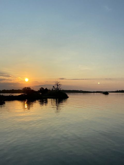 Crystal River: Backwater Adventure on an Airboat - Wildlife Spotting