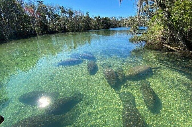 Crystal River Boat and Nature Tour - Frequently Asked Questions
