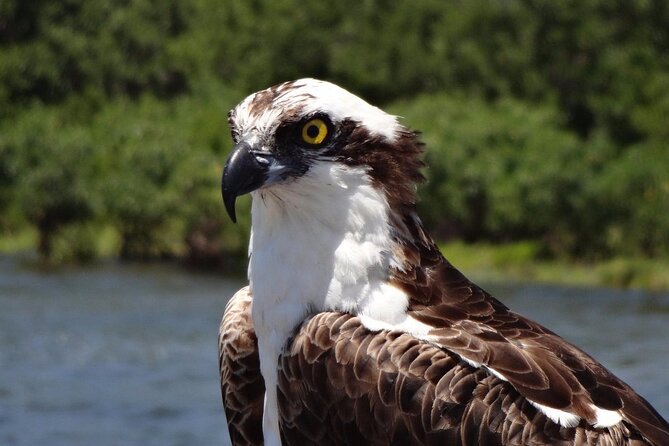 Crystal River Boat Tour - Experience Highlights