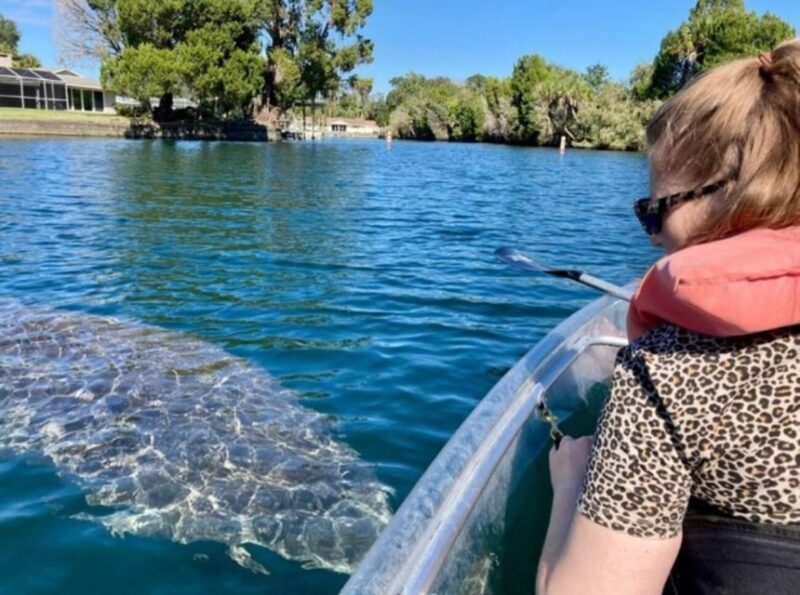 Crystal River: Clear Kayak Manatee Ecotour - Experience Highlights