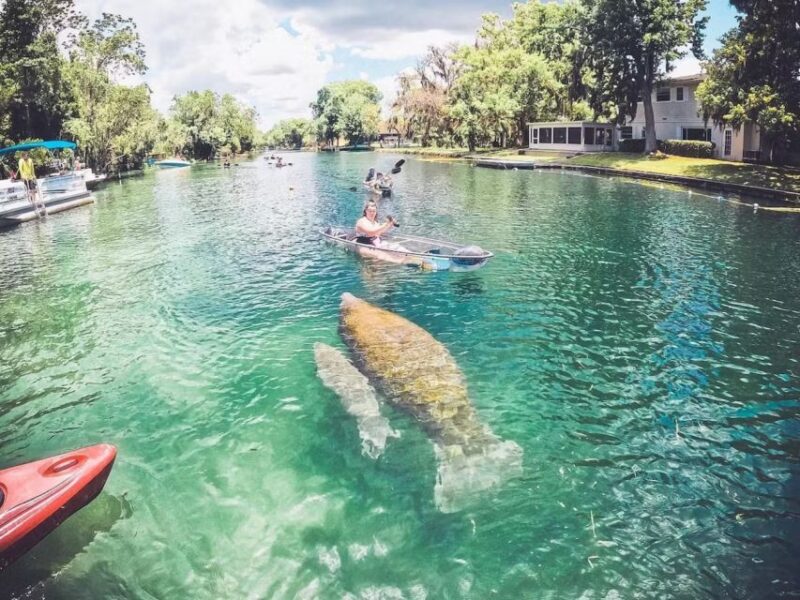 Crystal River: Clear Kayak Manatee Ecotour - Meeting Point and Logistics