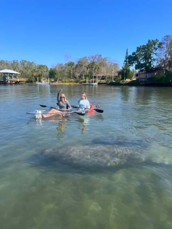 Crystal River: Clear Kayak Manatee Tour w/Free Photo Package - Key Points