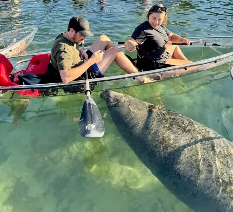 Crystal River: Clear Kayak Manatee Tour w/Free Photo Package - An In-Depth Look at the Tour Experience